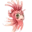 fishing-frenzy-uk.pages.dev favicon